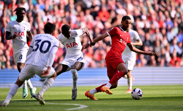 归时能为主 归时能为主