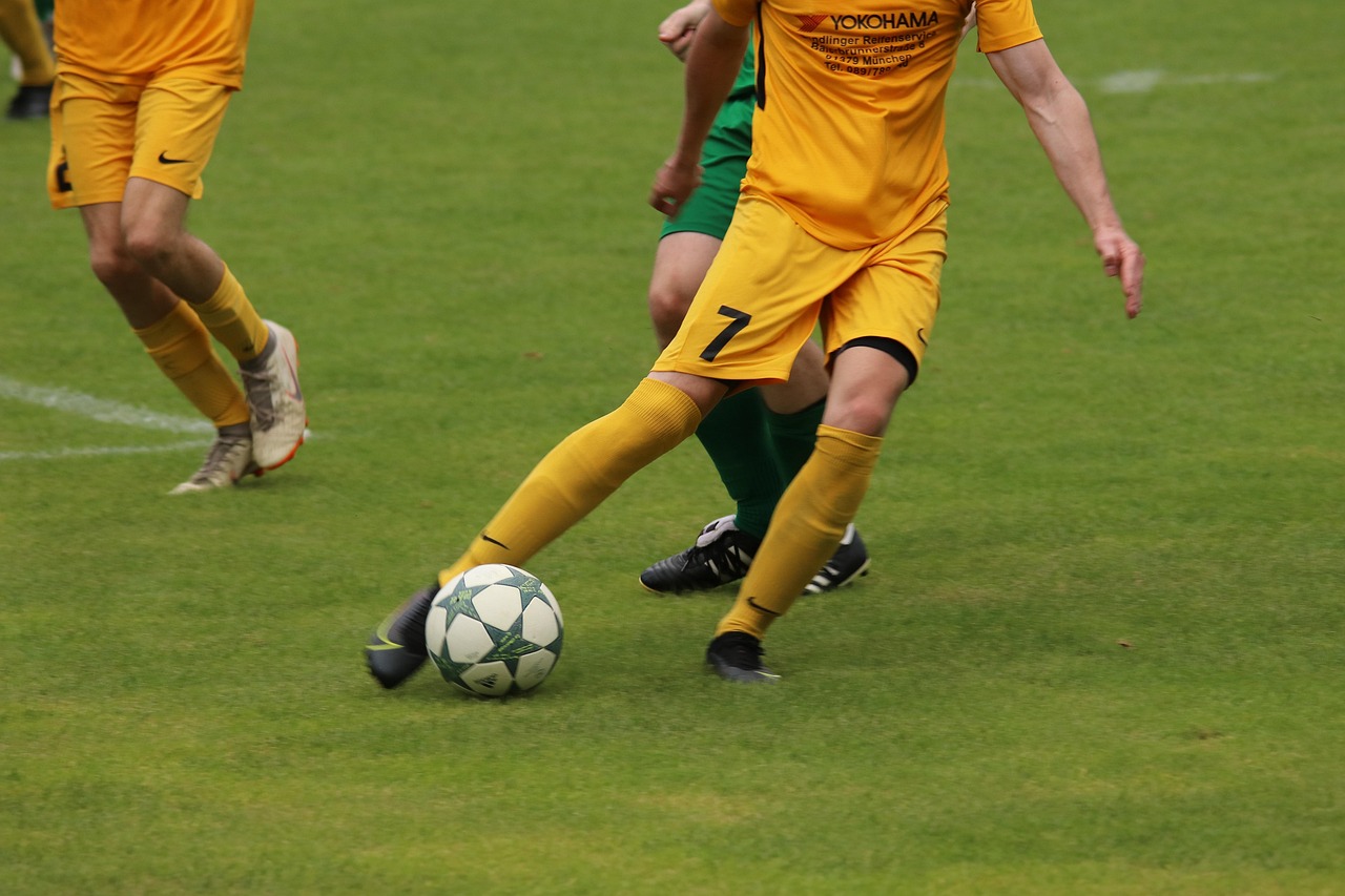 并在未来的 并在未来的