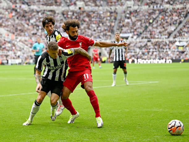 可能在未来 可能在未来